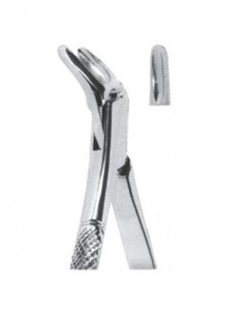Extracting Forceps
